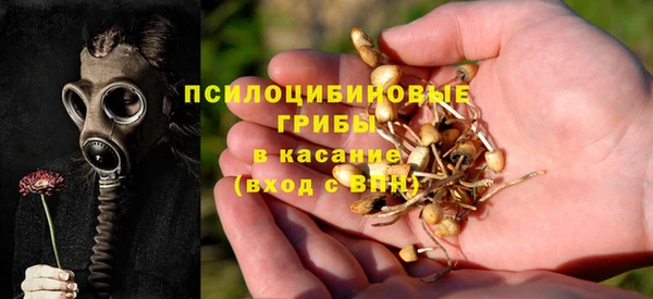 экстази Арсеньев