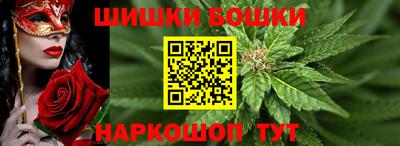 гашик Кулебаки