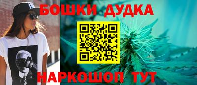 индика Кунгур