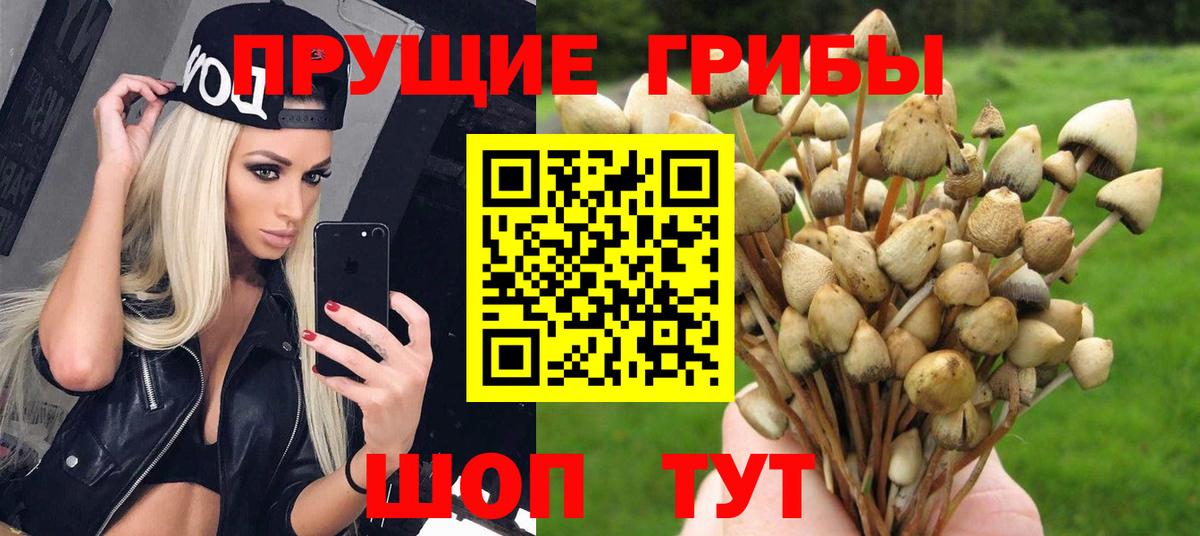 Галлюциногенные грибы Cubensis  Вход с VPN  Зима 